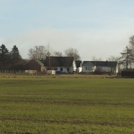 Gasthaus Laegenhet Lillisgarden Vallåkra Exterior foto