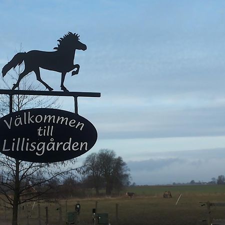 Gasthaus Laegenhet Lillisgarden Vallåkra Exterior foto