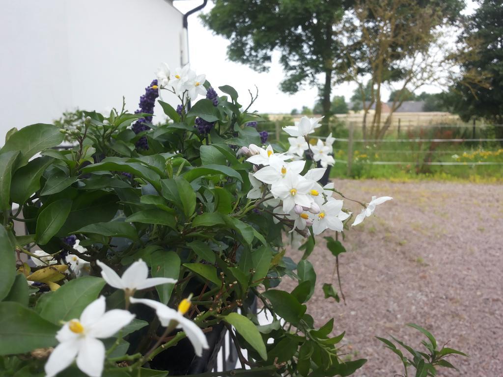 Gasthaus Laegenhet Lillisgarden Vallåkra Exterior foto